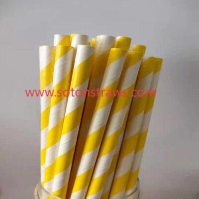 Soton’s Role in Advancing Eco-Friendly Straws Factory Solutions