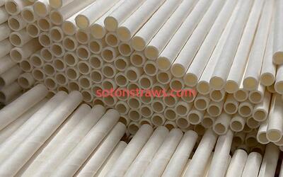 Soton’s Regenerative Paper Straws Manufactory